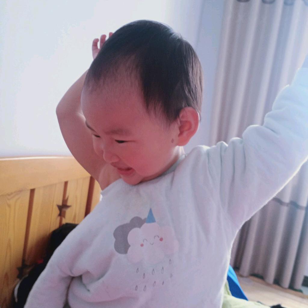蕊宝