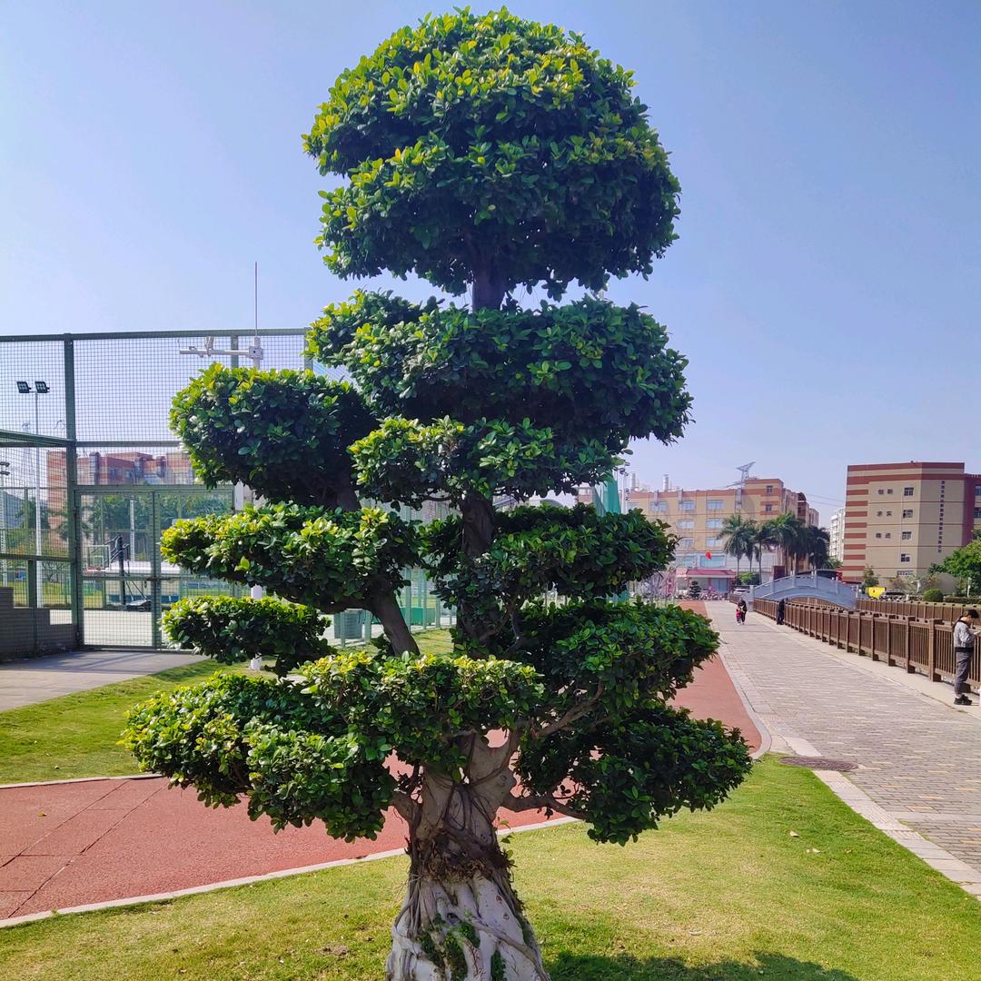 💞এ᭄ꦿ₀何💕এ᭄