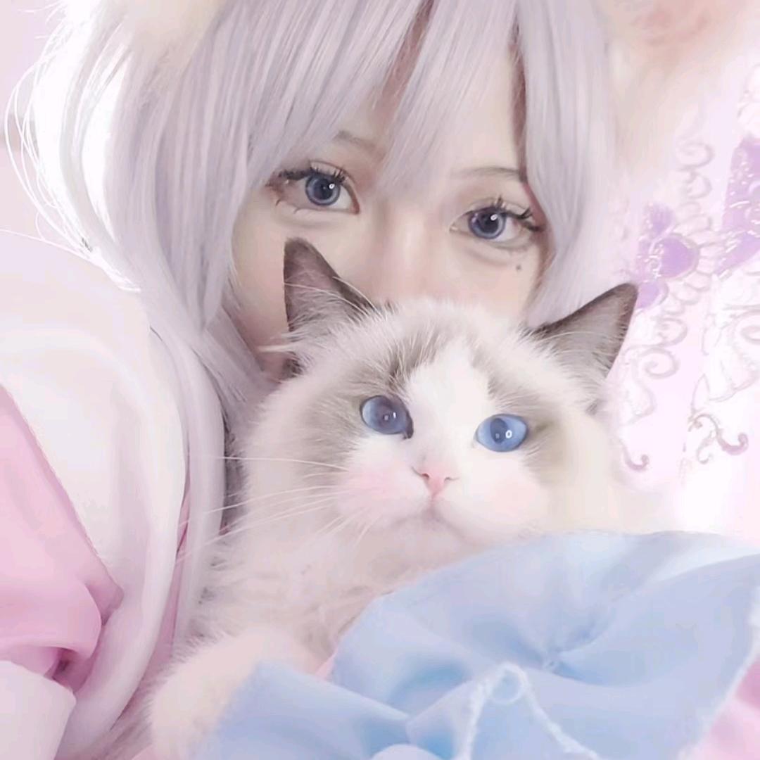 艳崽