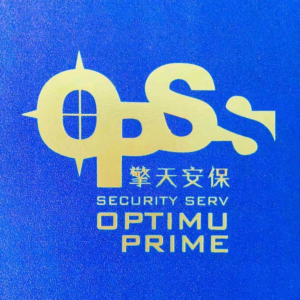 擎天保安