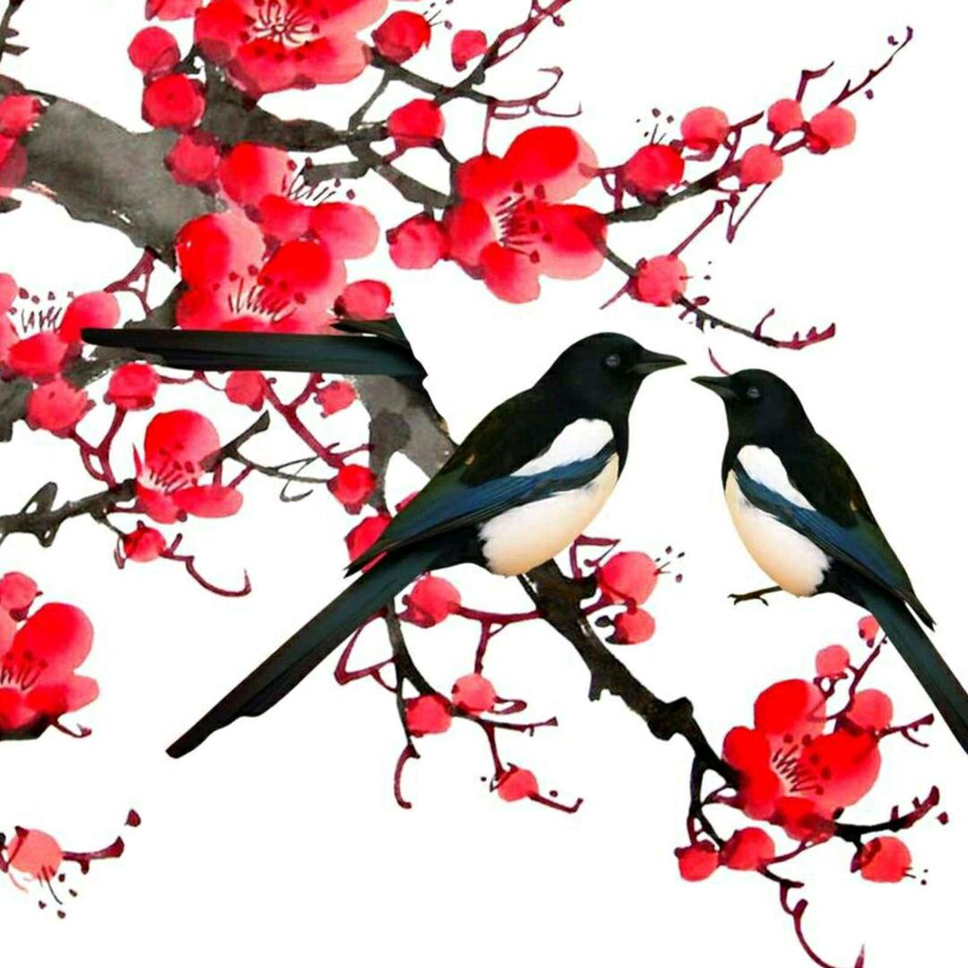 大侠