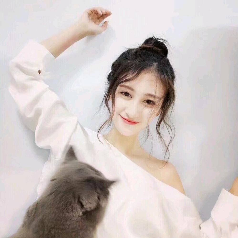 七秒鱼的记忆