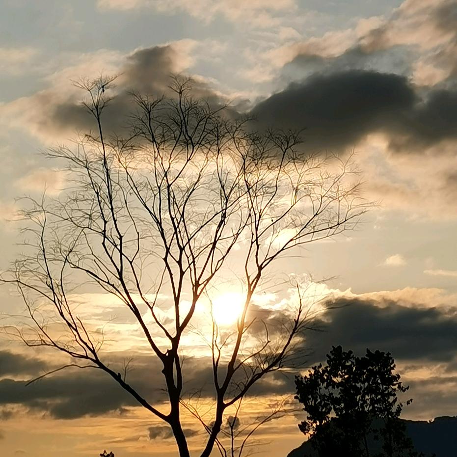 小筱陽🍀