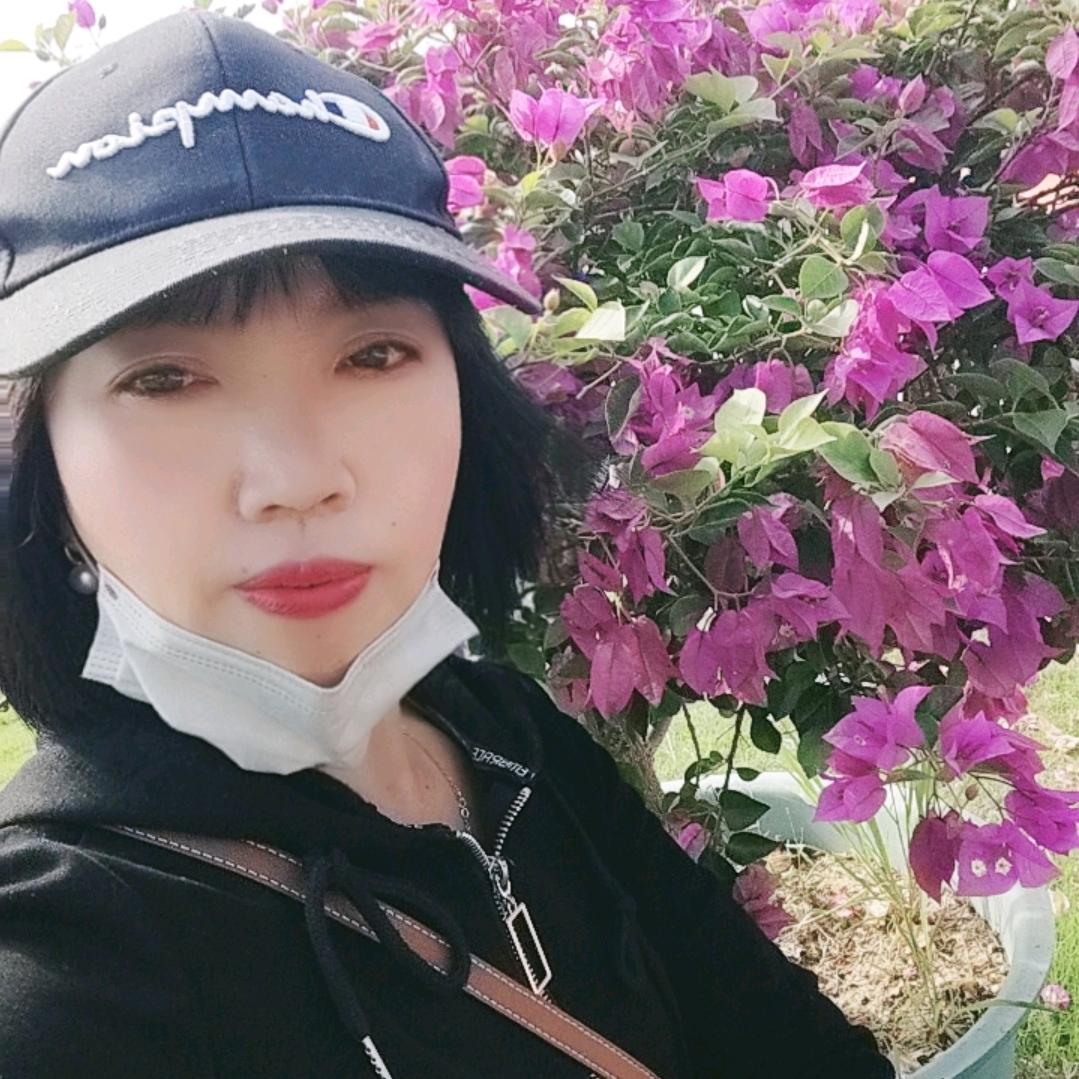 落叶知秋