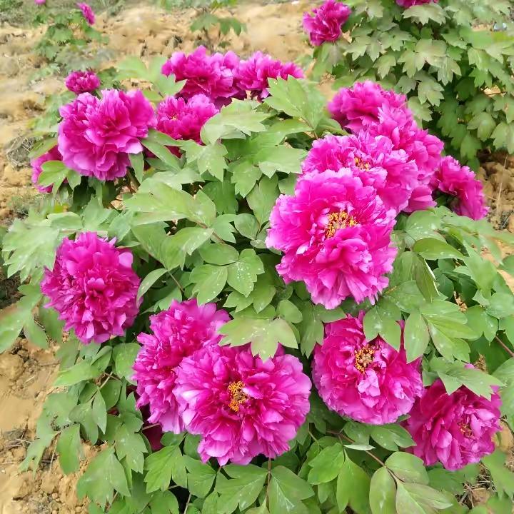 用户快乐人生7859991972636