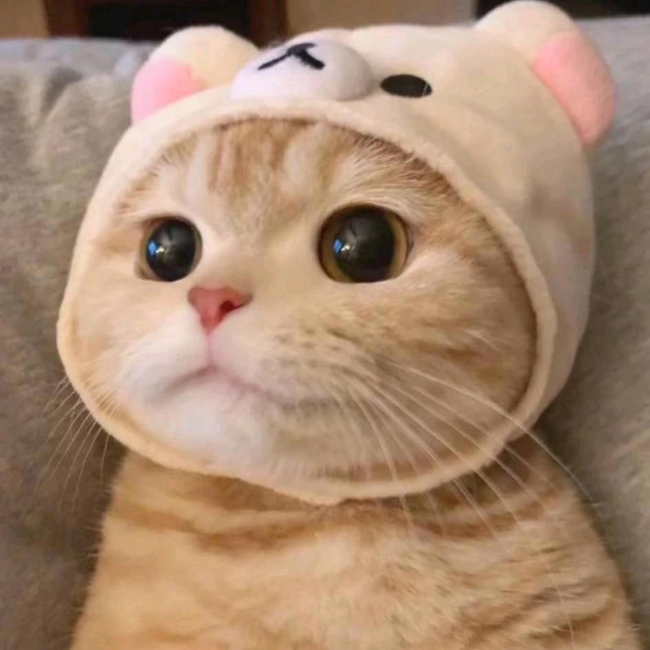 稀饭短剧