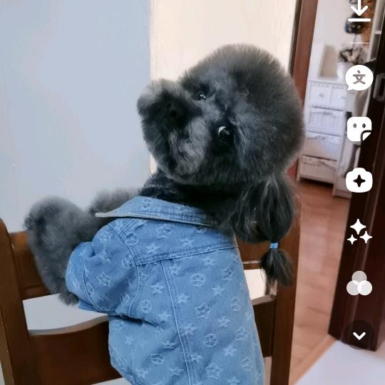 小拿