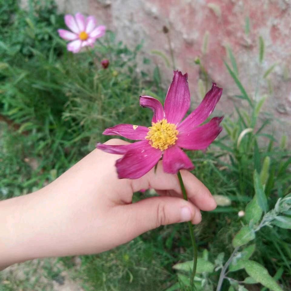 手机用户70702829399