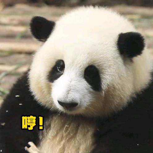守护星空♏