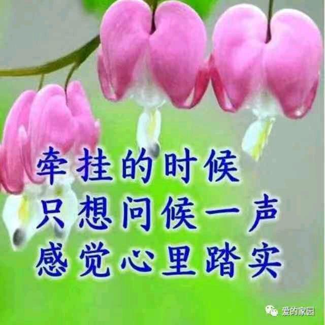 ☞幸福人☜