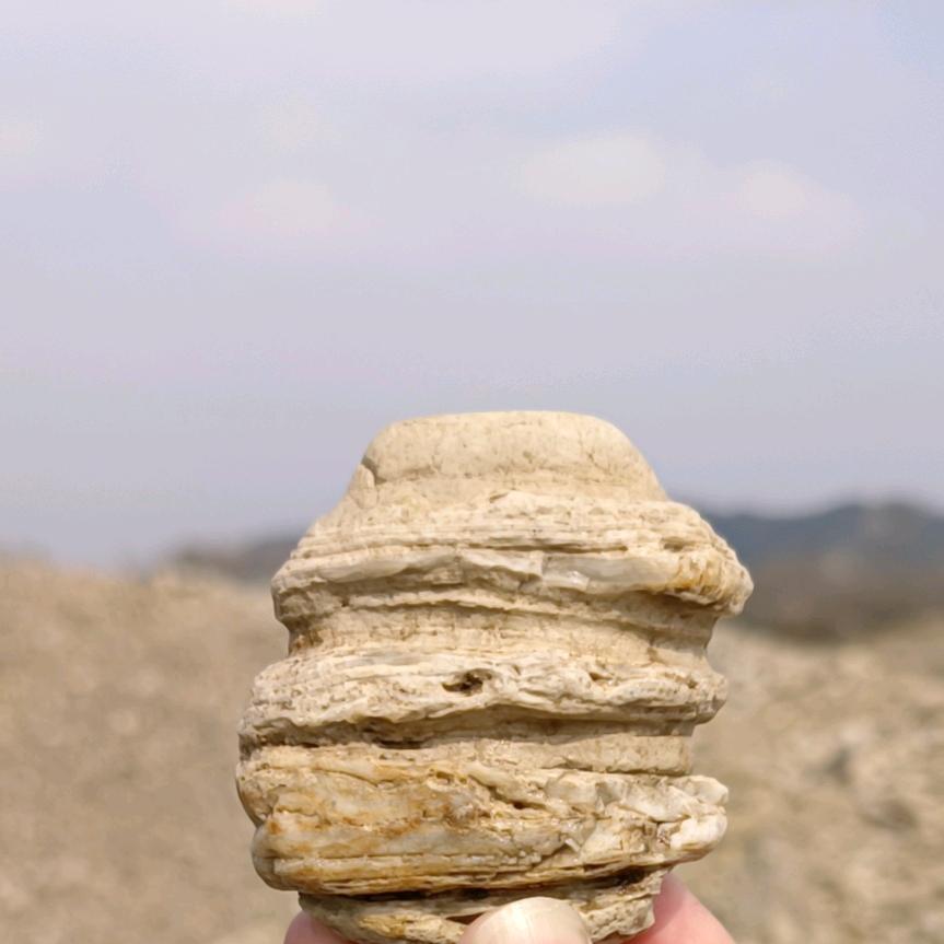 阳光画面