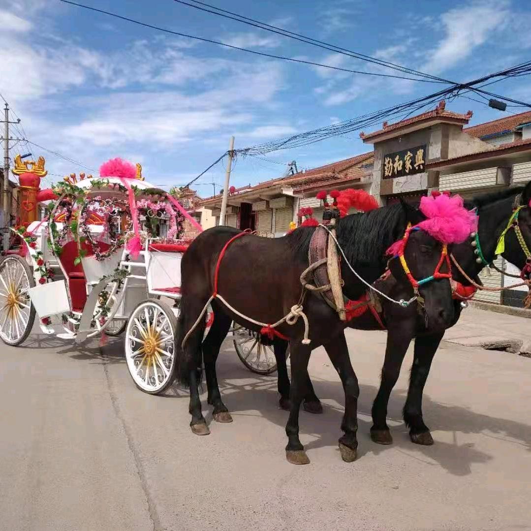 康庄婚庆马队🐴