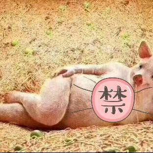 简单浪漫