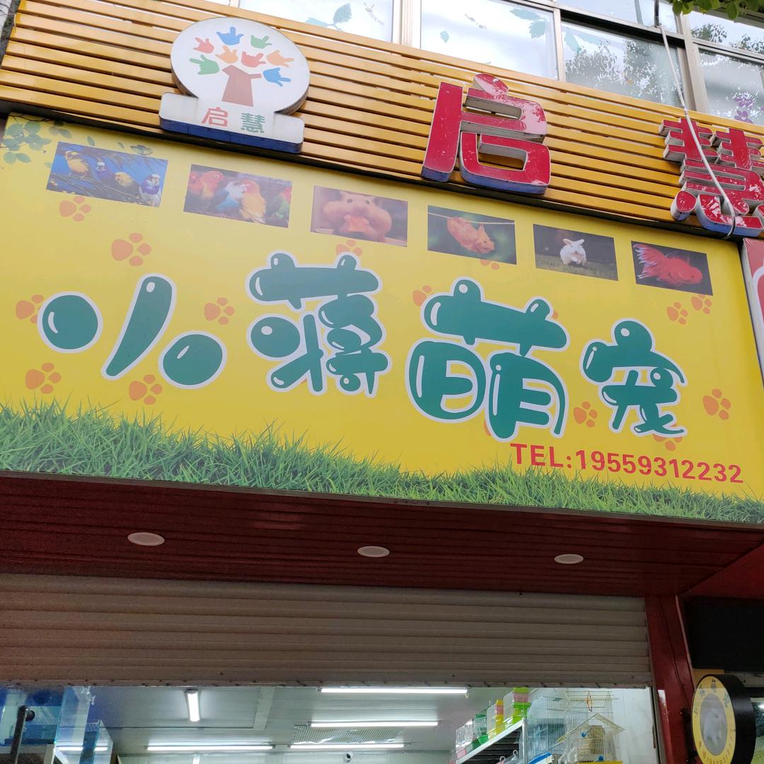 小蒋萌宠