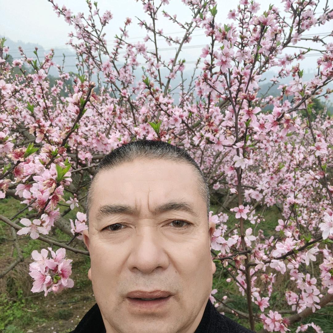 认真过好每一天