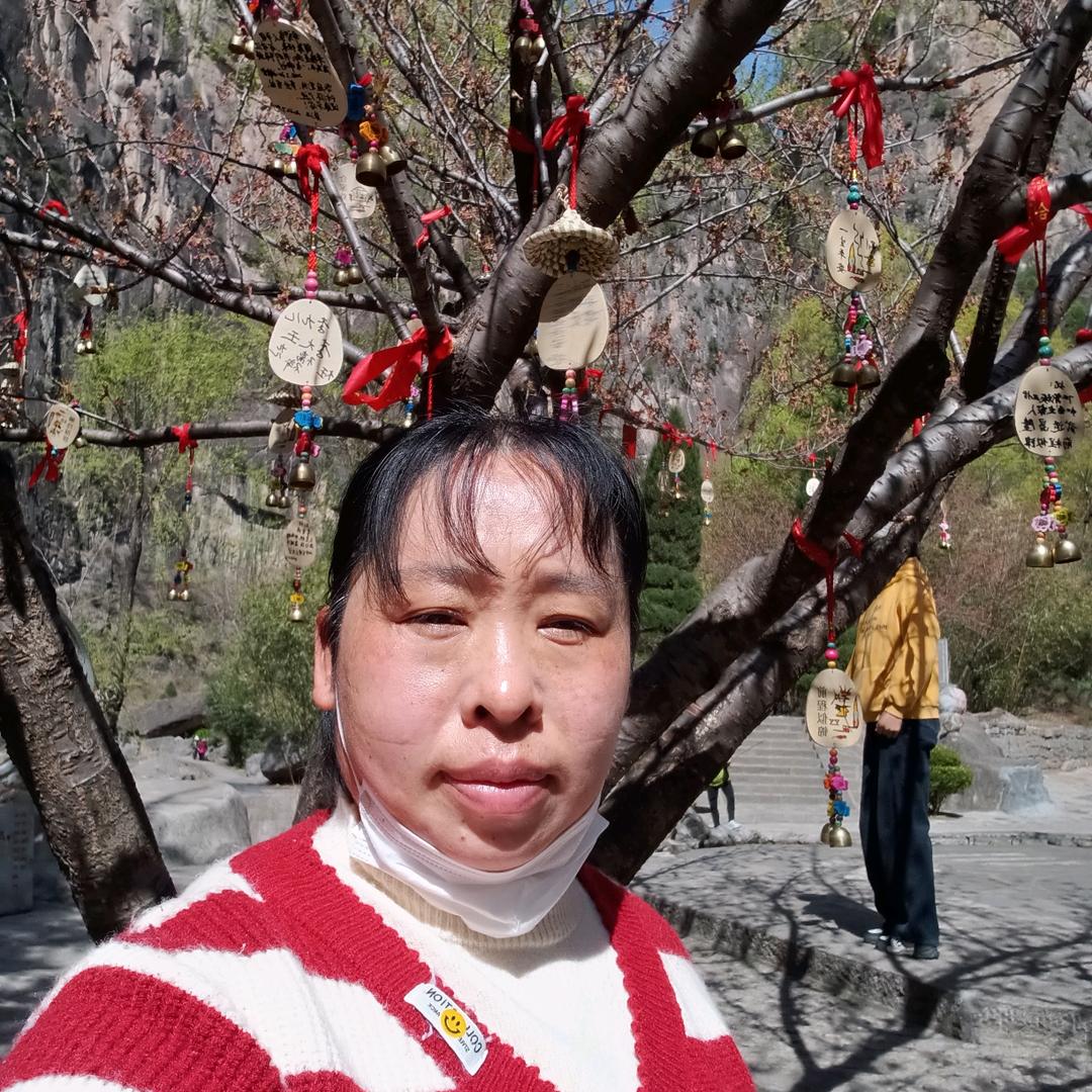 专业做防水
