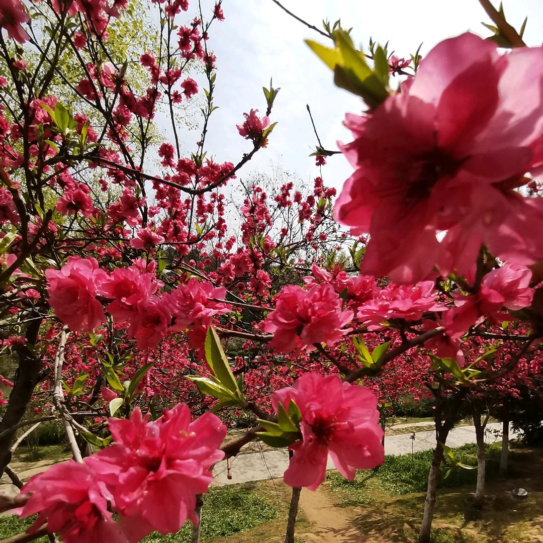 专业美缝保洁
