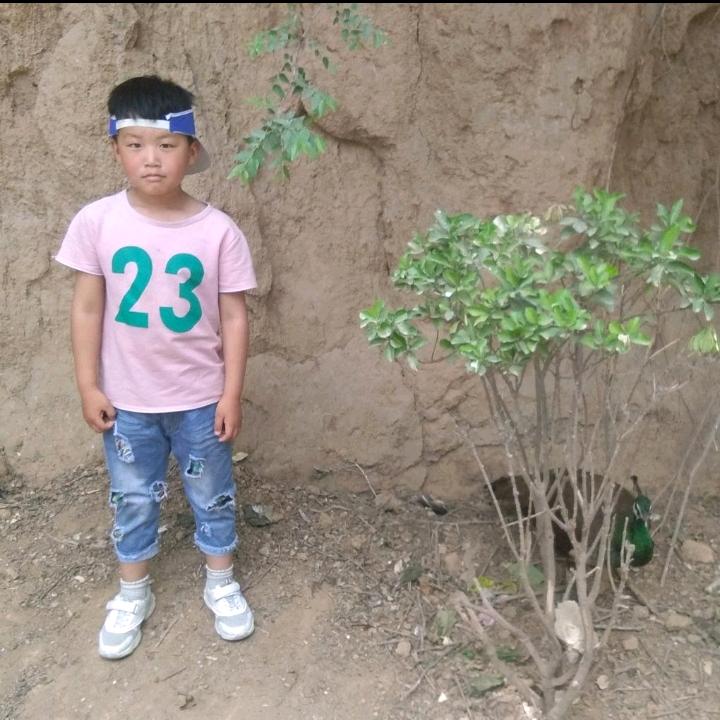 李杰