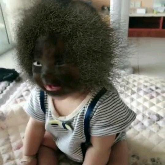 可可