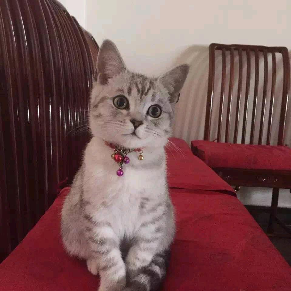 舒然