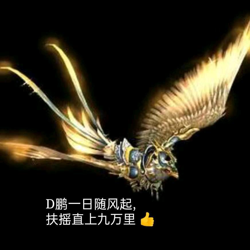 D鹏