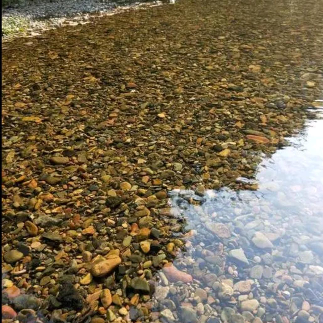 半缘君