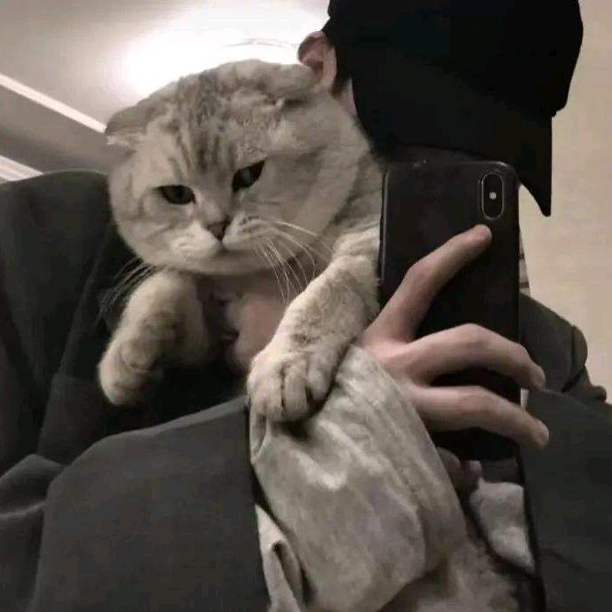 熏椰想睡觉（幸福恋爱版）