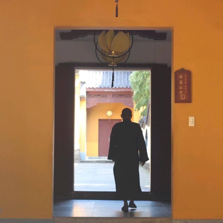 阿愿在杭州