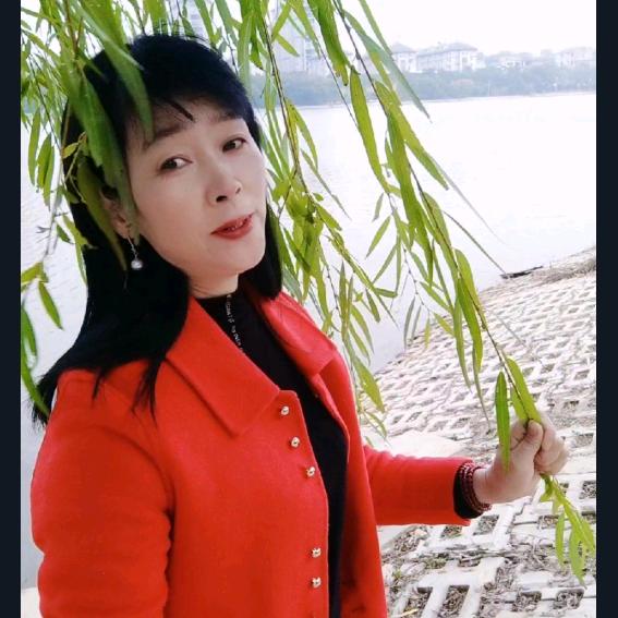 梅芳竹清