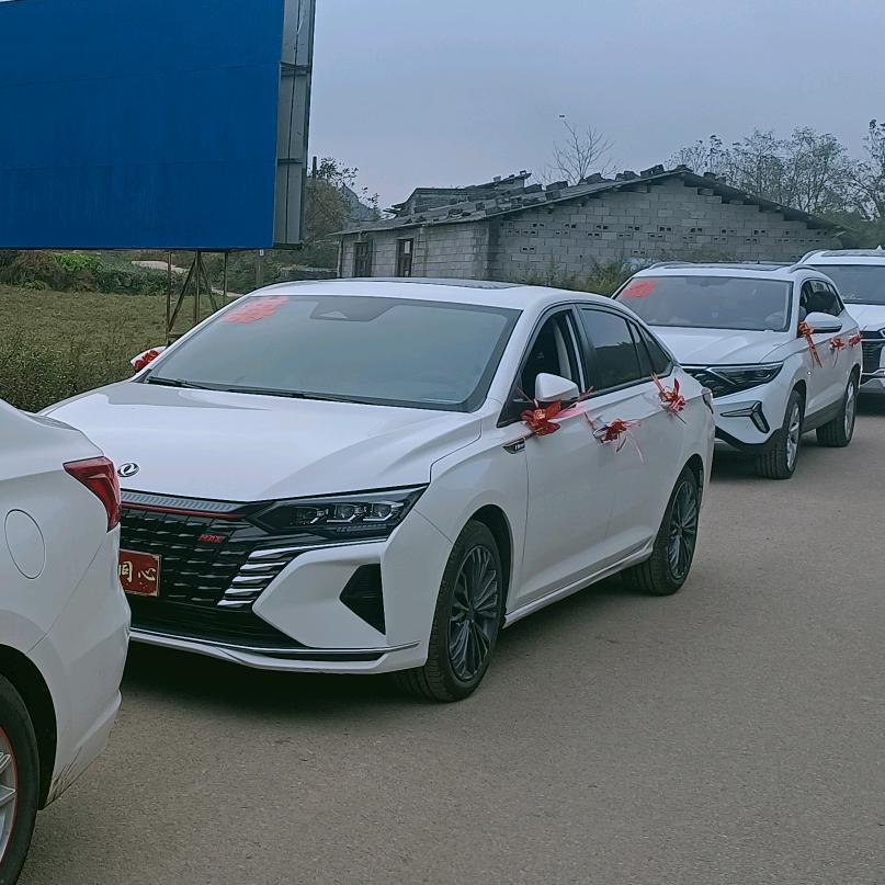 《情缘文案管》