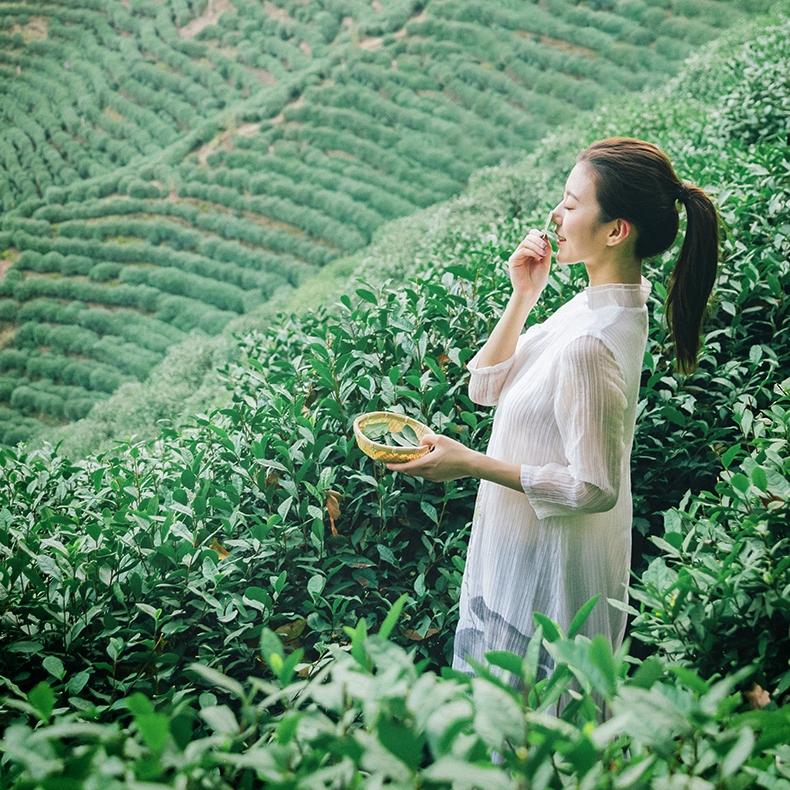 慕君茶叶商行