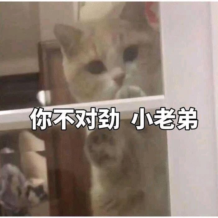 呶呶💤