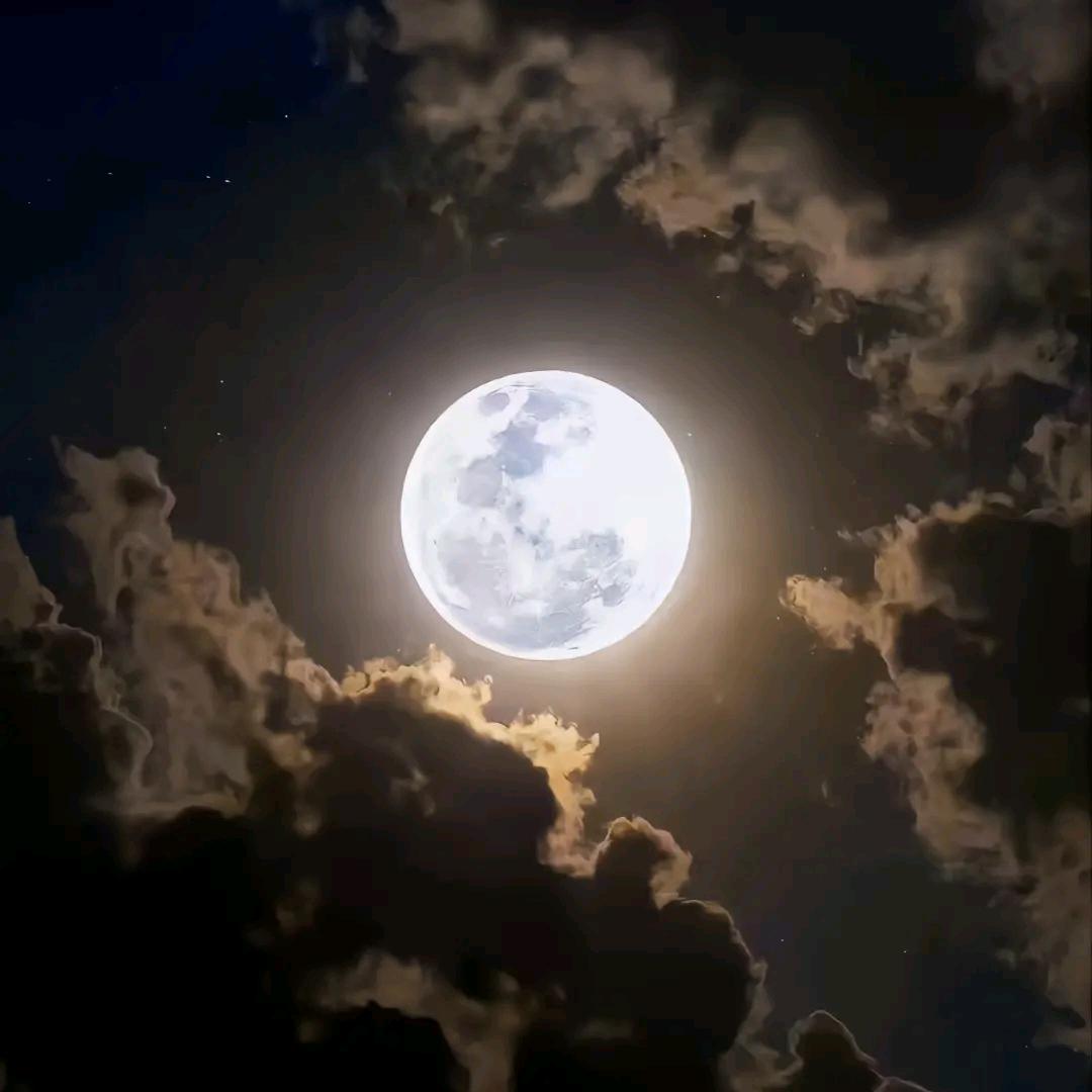 ໑ຼₒ₂₅ღ好运加满⁺¹⁰⁰