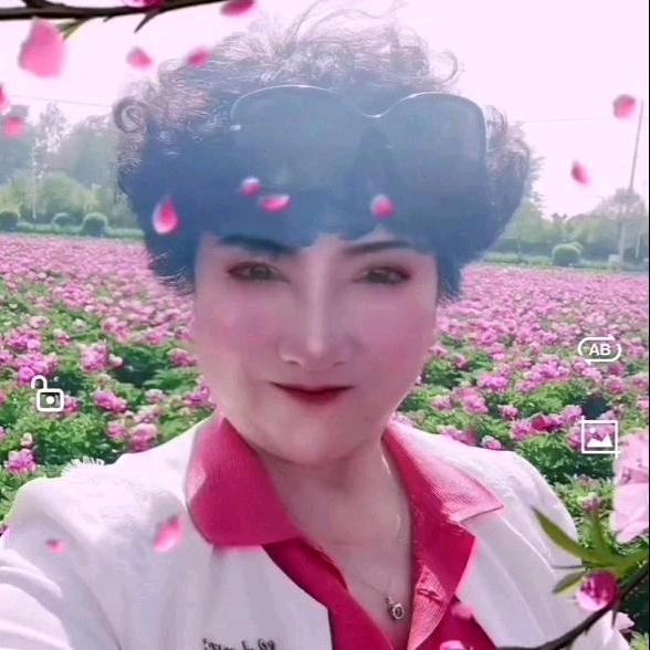 正法九注