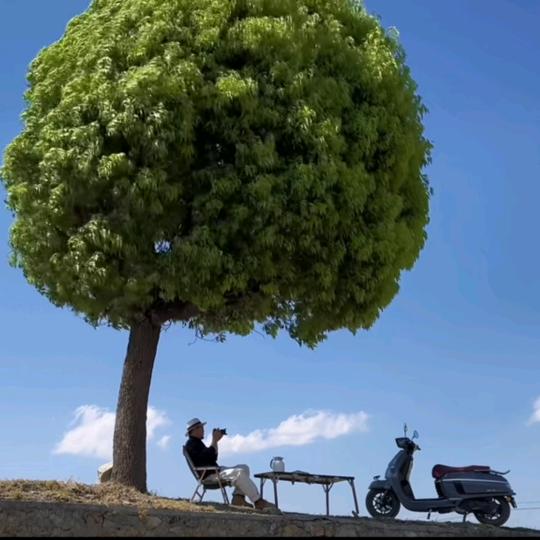 满足