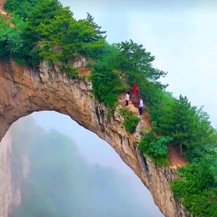 欢欣