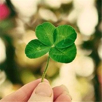 用户烟雨☔9702450529716