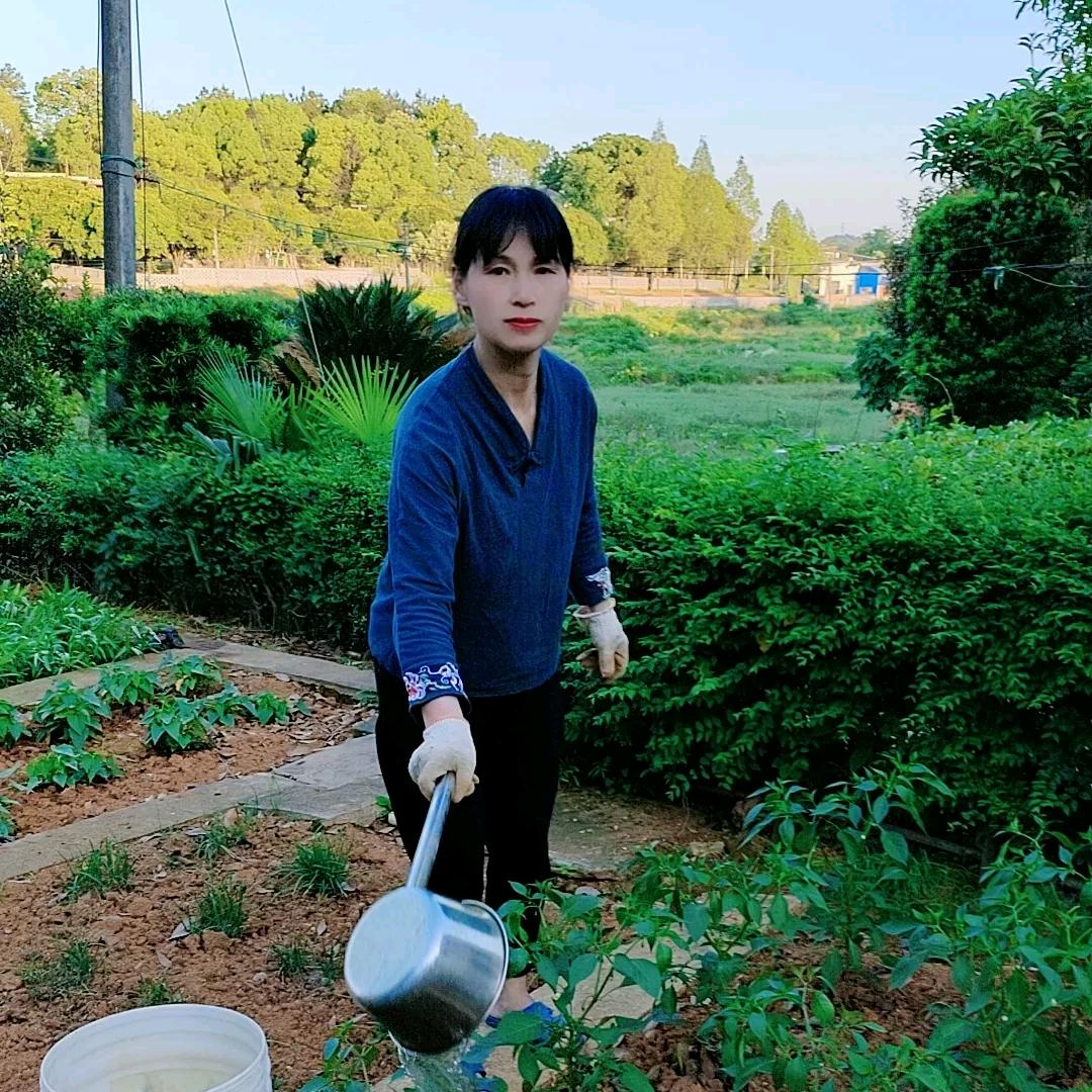 平平妈的农村生活