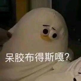 柠檬🍋（痛苦上班，迷茫生活版）