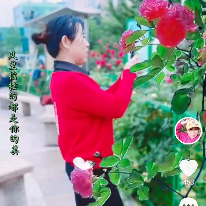 💗❤小草🌾🌾