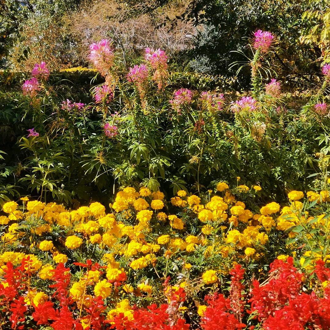 多多休闲零食分享