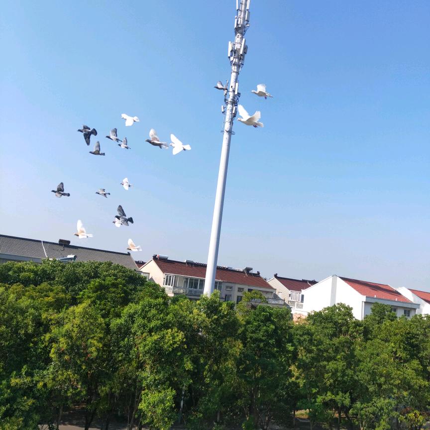 纳安