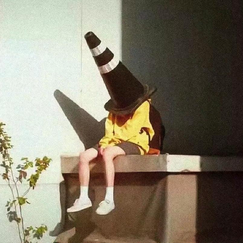 懒树懒