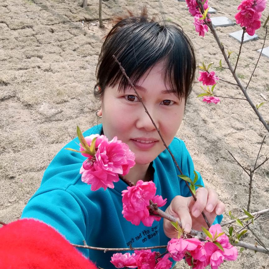 不离不弃