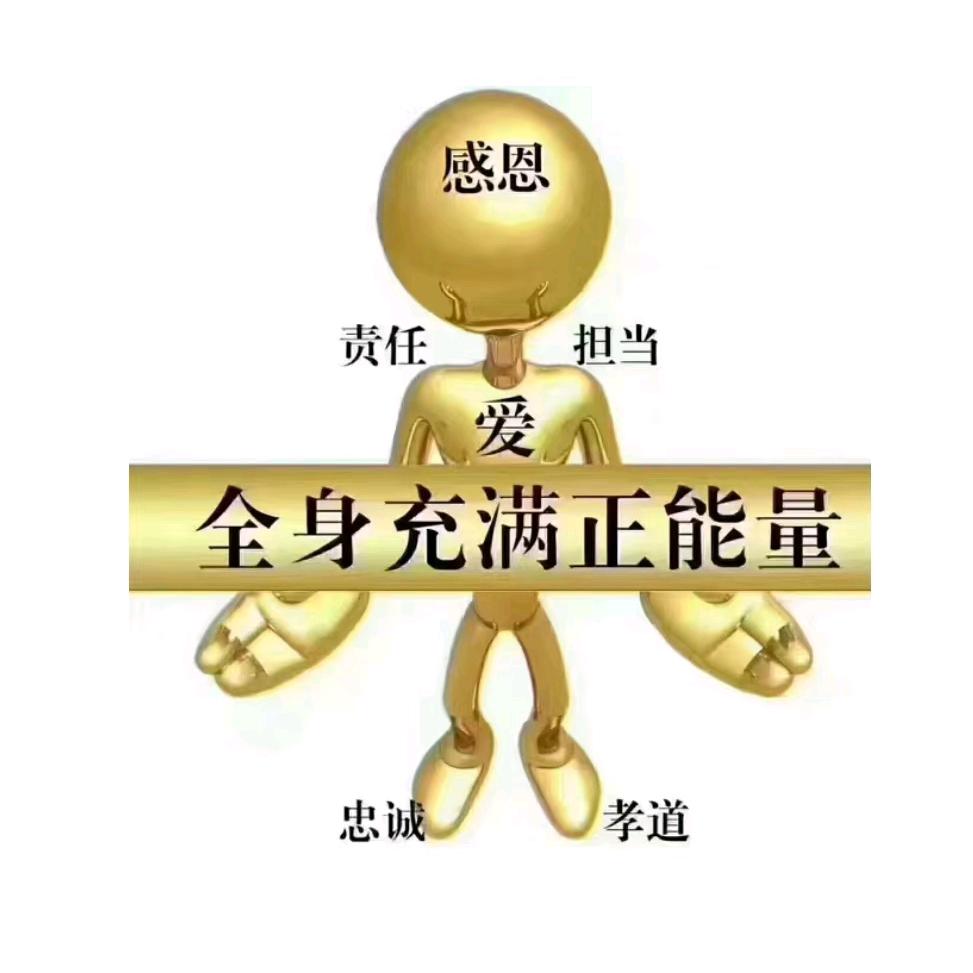 孤影任我行