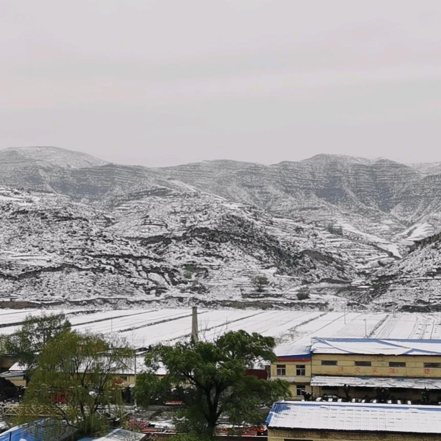 骏马驰骋（junmachichen）