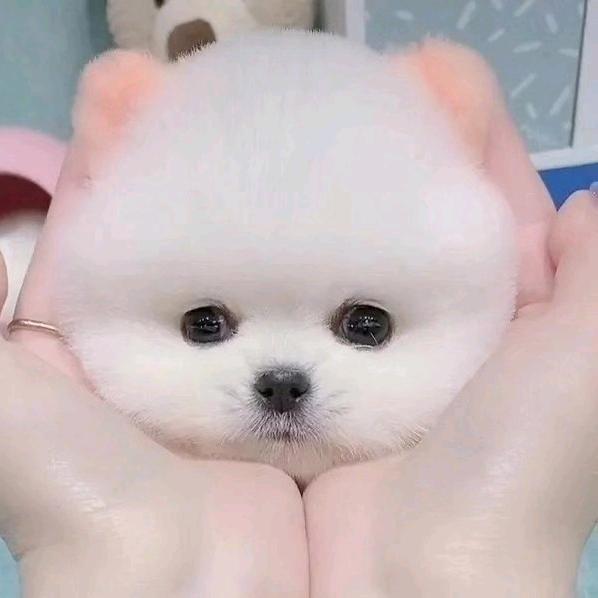 小老鼠🐭🐭🐭