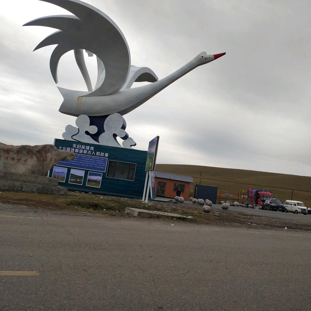 陕西老谭在新疆