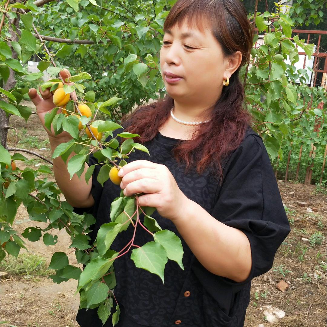 陈永红！🌹🌹