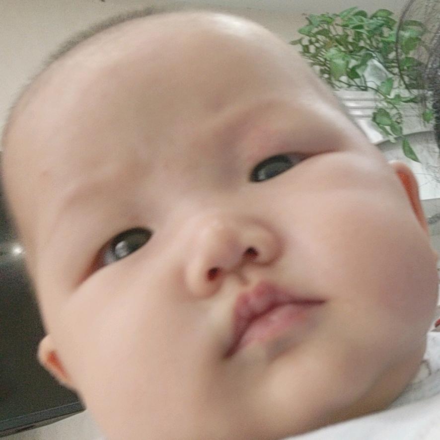 刘胖胖